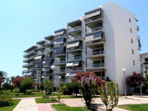 Zeus Auriga, Salou